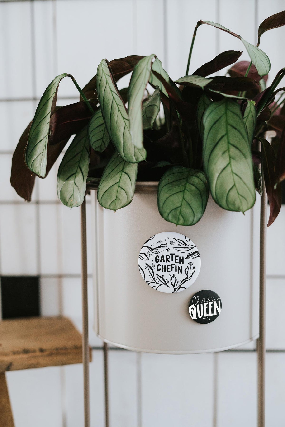 Magnet Garten Chefin – großer Kühlschrankmagnet für Gartenfreund:innen als Geschenk
