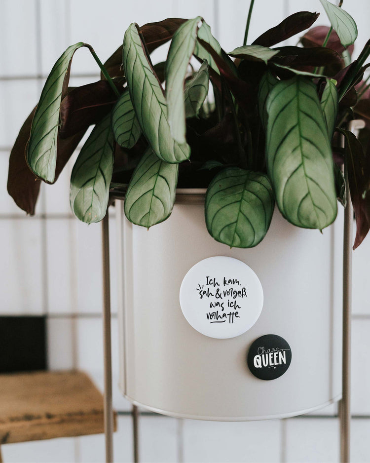 Magnet Ich kam sah und vergaß was ich vorhatte – großer Kühlschrankmagnet mit Humor