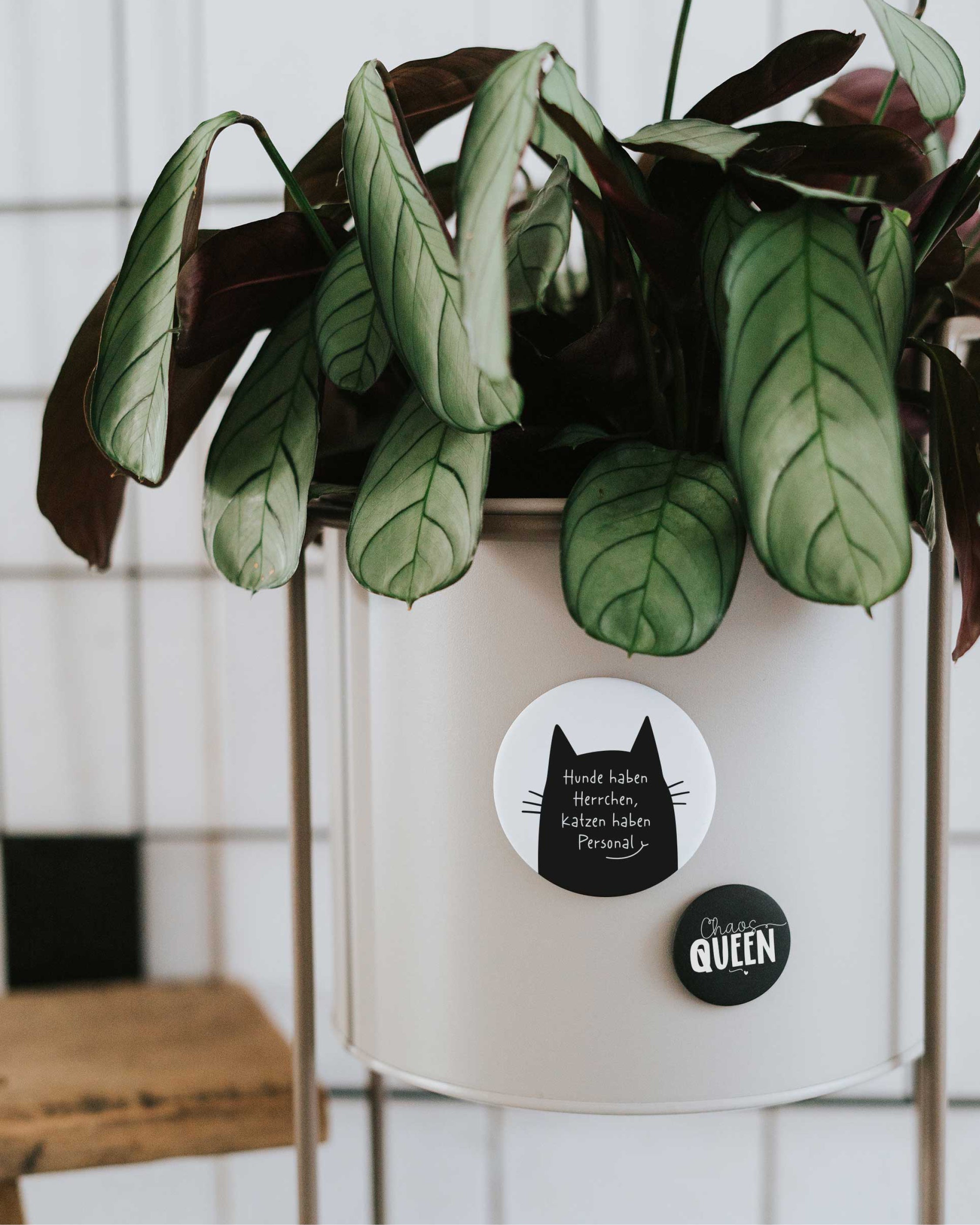 Magnet Katzen haben Personal – großer Kühlschrankmagnet für Katzenmenschen als Geschenk